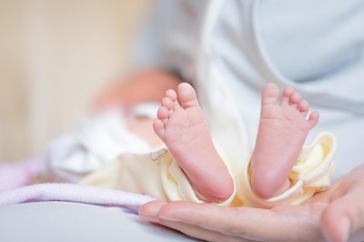 专家